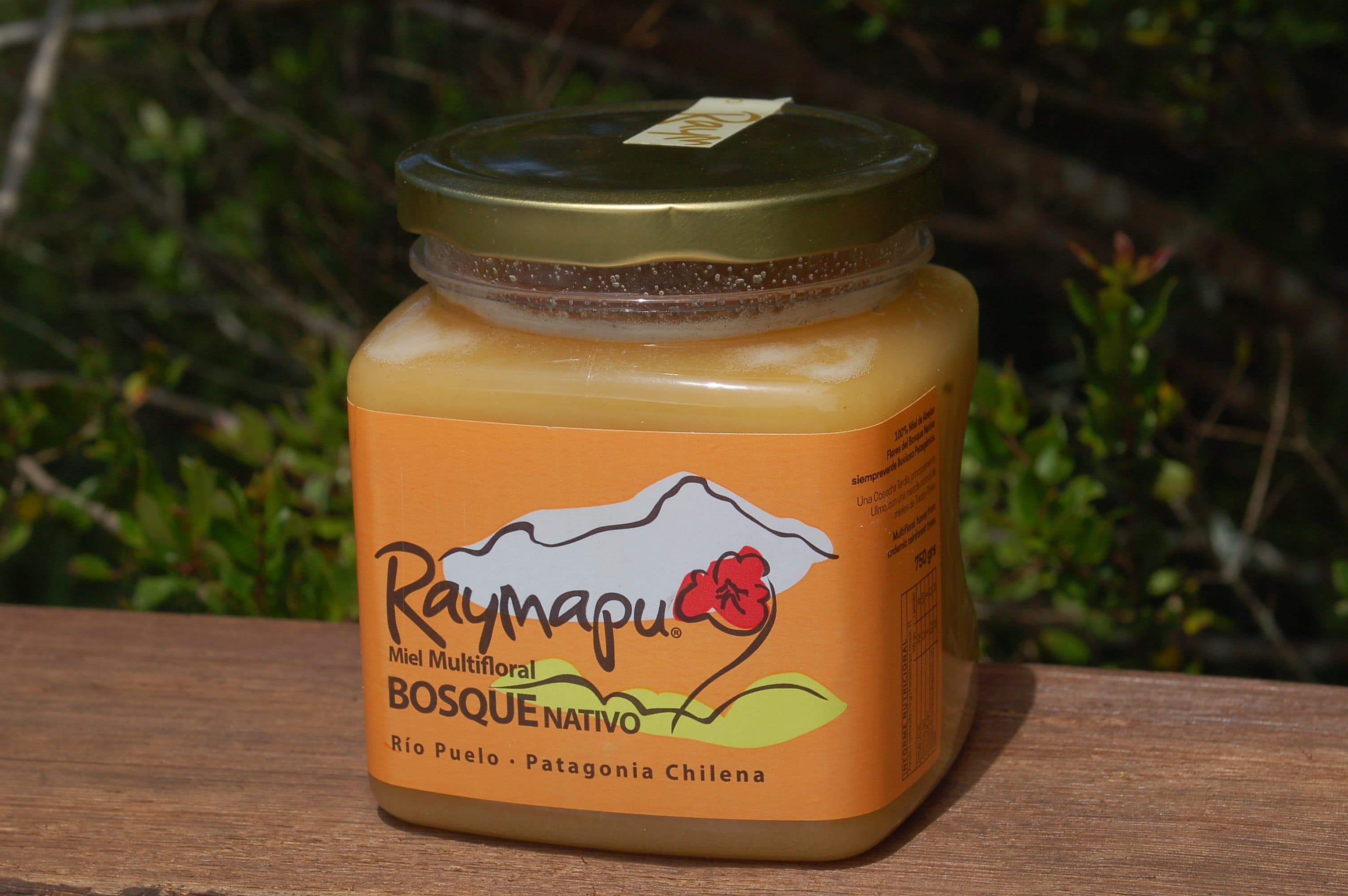 Miel de Bosque Nativo