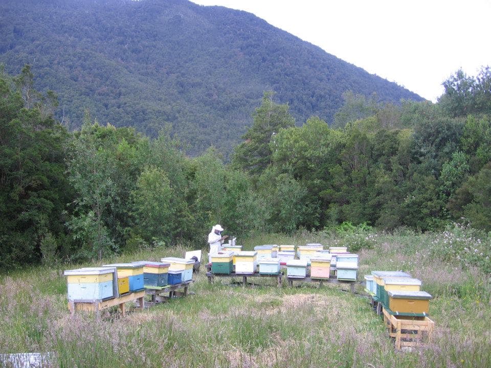 Experiencia turismo Raymapu